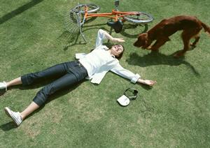 犬の素晴らしい木製おもちゃについて